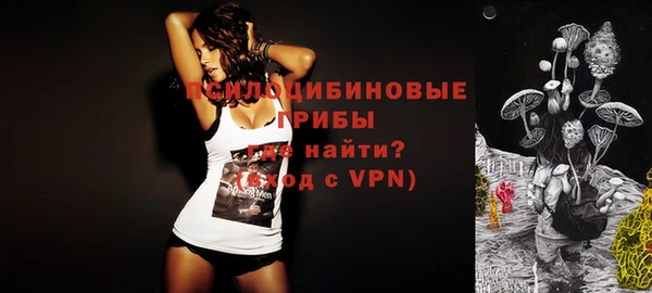 тгк Алзамай