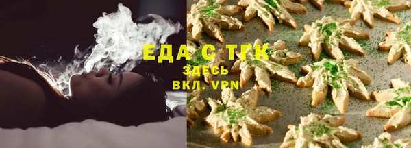 тгк Алзамай